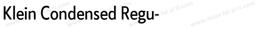 Klein Condensed Regu字体转换